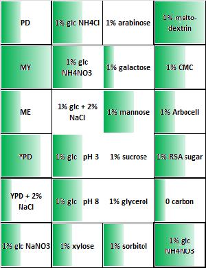 Media and growth heatmap for image above.